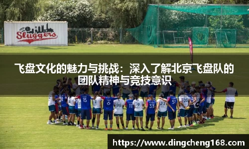 飞盘文化的魅力与挑战：深入了解北京飞盘队的团队精神与竞技意识